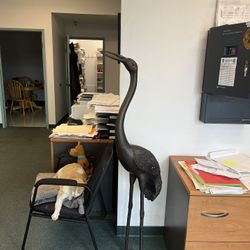 Bronze birds statues