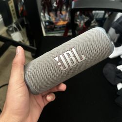 JBL flip 6 Grey