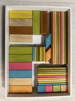 Tegu Magnetic Wooden blocks