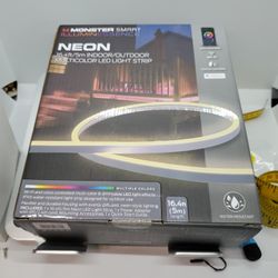 Neon Multicolor LED Strip