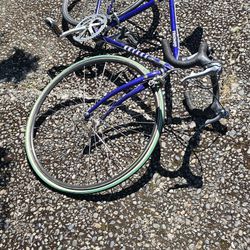 Novara Trionfo speed Road bike bicycle wheel 700 x 23