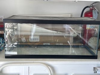 Reptile Glass Tank