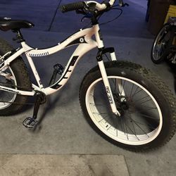 Fat Tire Bike.