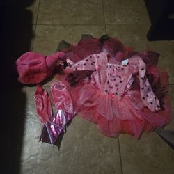 Toddler costume