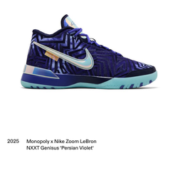 Nike zoom lebron nxxt