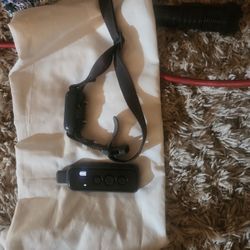 Shock Collar.  Premier Pet