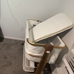 Moises Usado Buen Estado 