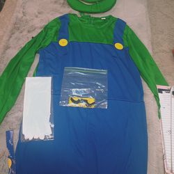 Halloween Costume (Luigi Mario)