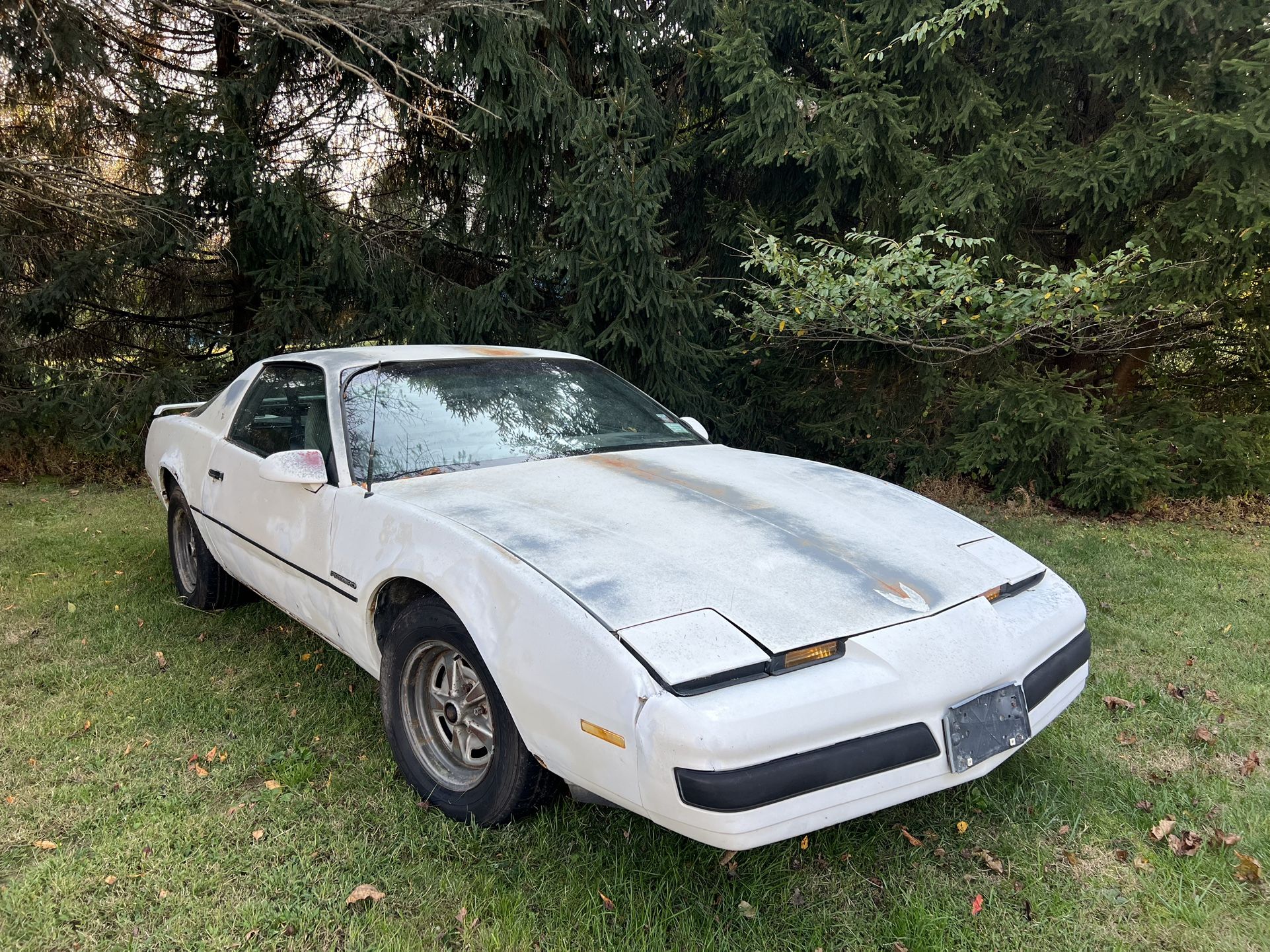 1986 Pontiac Firebird