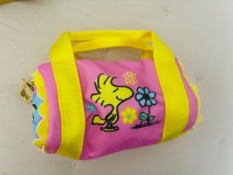 Peanuts Mystery Coin Bag Charms