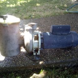 Pool Pump