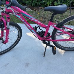 Specialized Hot Rock 