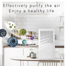 Intelligent Dehumidifier 