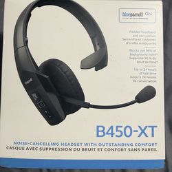 Blue parrot Blue parrot