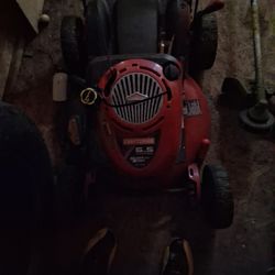 Self Propelled Lawnmower 