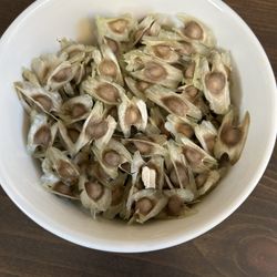 Moringa Seds Organic Miracle Three Cures And Privents Canser Diabetes High Blood Pressure Colesterol Loose Weight Etc