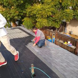 Roof Shingles