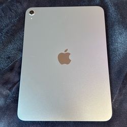 Apple IPad (A16) 256 GB Unlocked