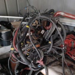 Harness Cummins 
