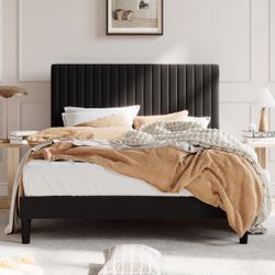 Queen Bed Frame