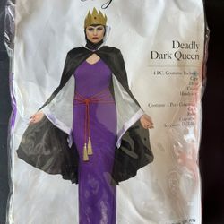 Villain Halloween Costume 