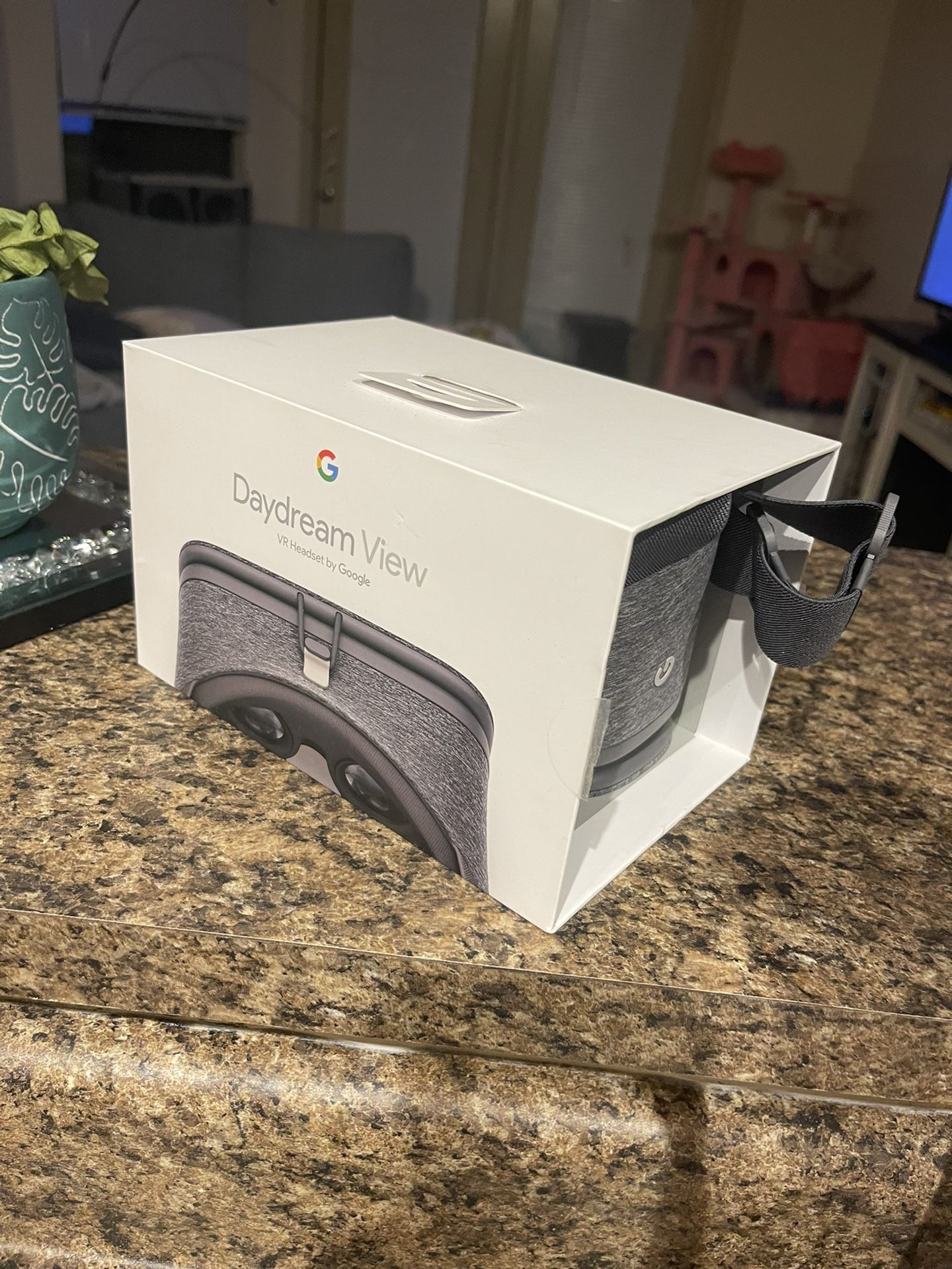 Google daydream view