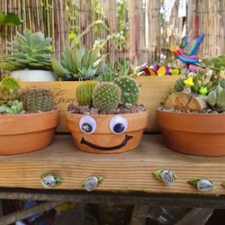 Cute Succulent Planters – Handmade Mini Arrangements (Perfect Gifts!)
