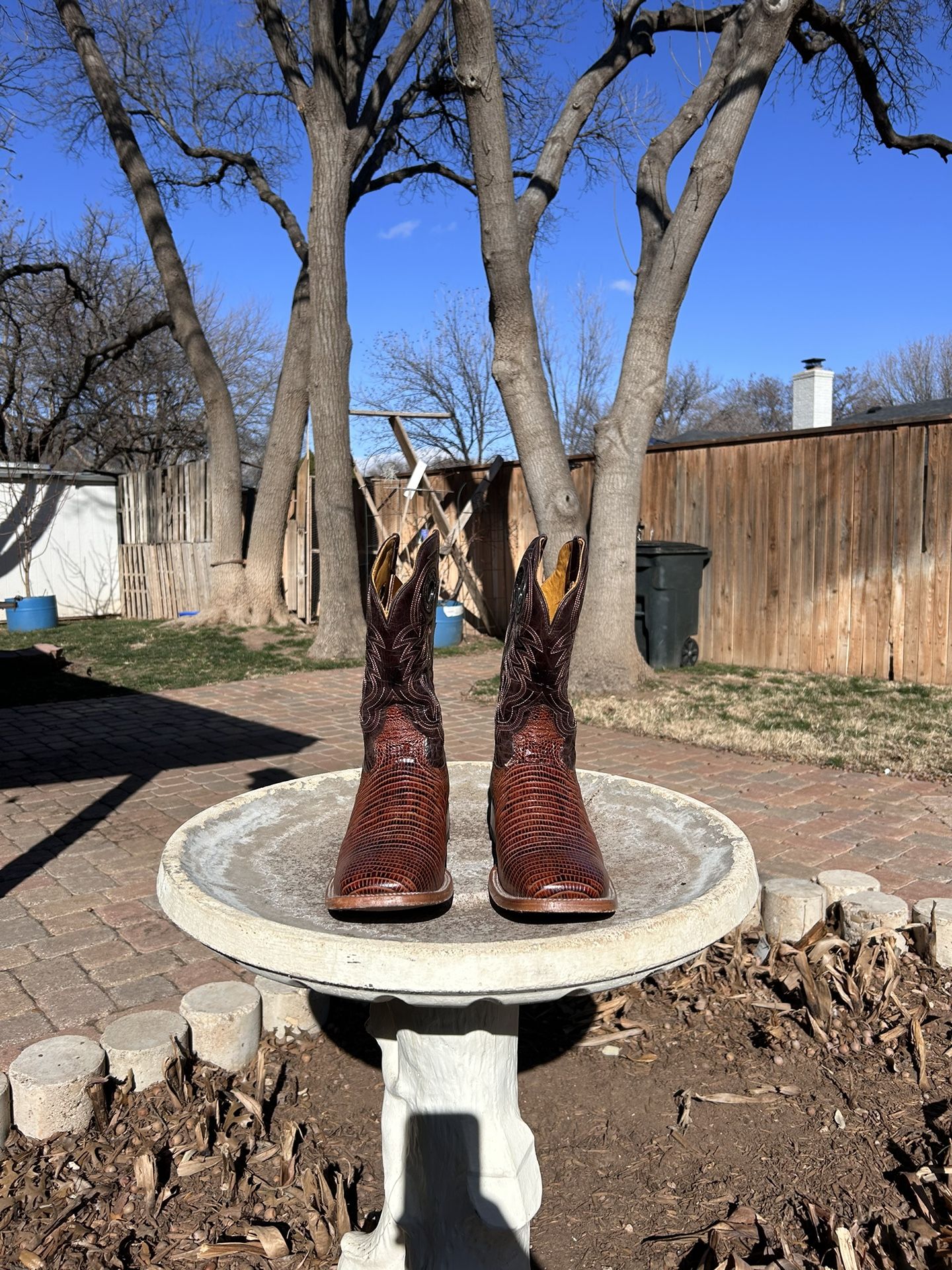 Rio Texas Lizard Skin Print Mens Boots Size 11.5