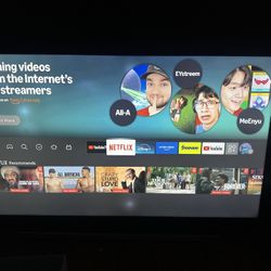 65 Inch Samsung TV