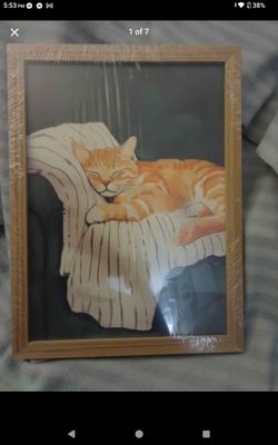 Framed Orange Tabby Cat Art Print - ( 2 Left )