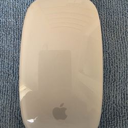 APPLE MOUSE WITH CHARGING PORT