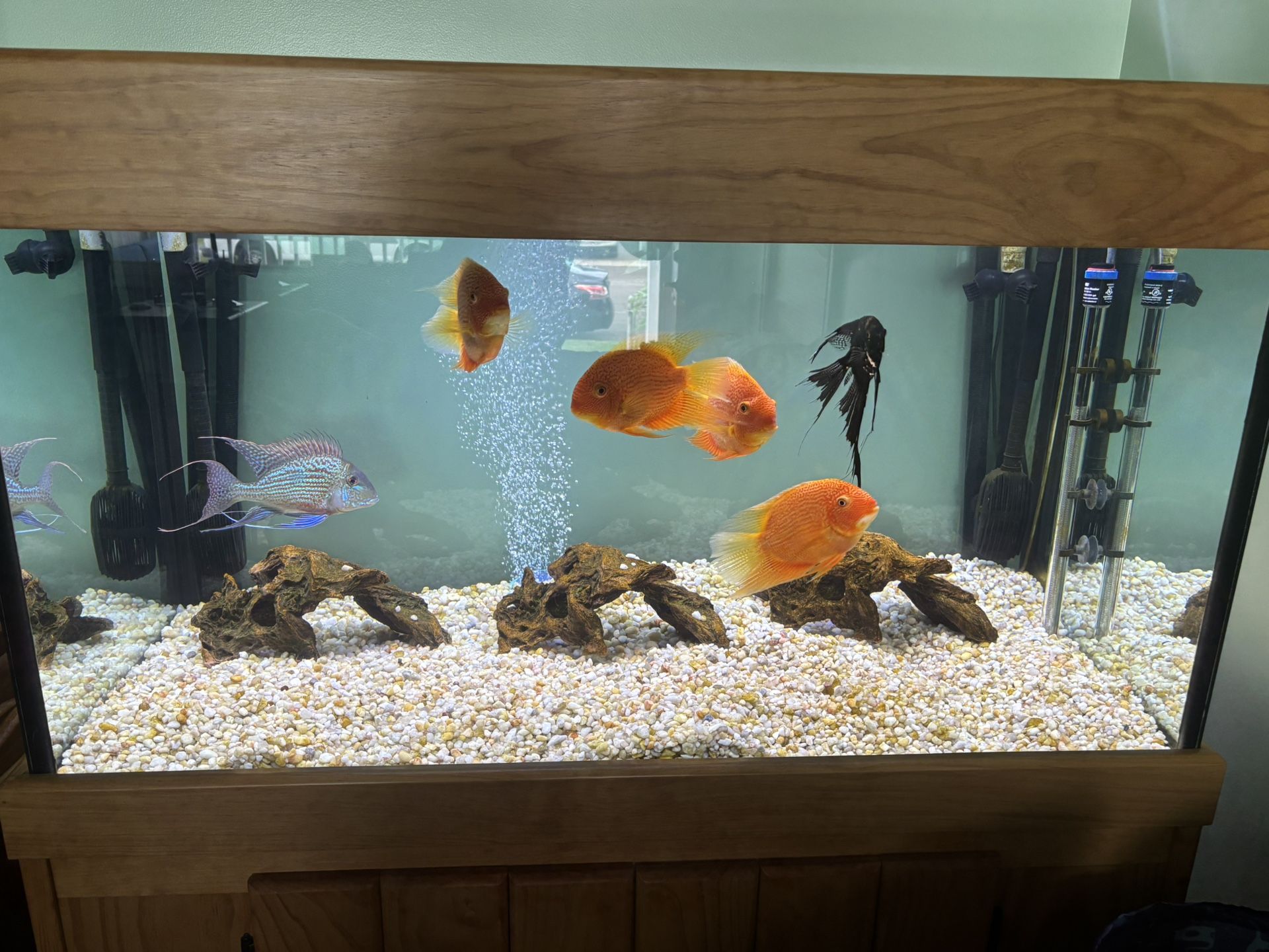 Fluval FX2 Canister Filter