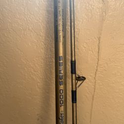 Fishing Rod And Reel