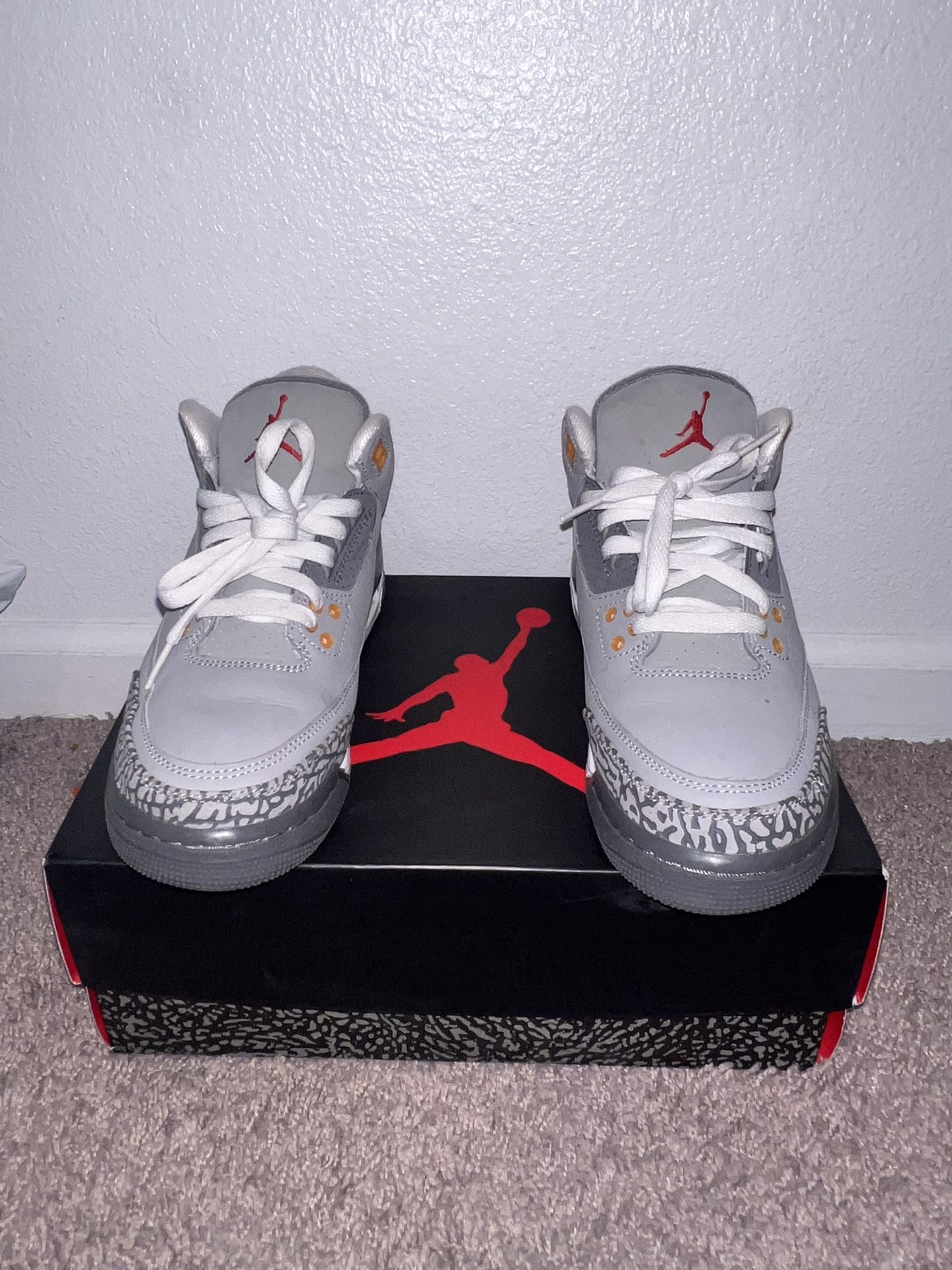 Air Jordan Retro ‘cool grey’