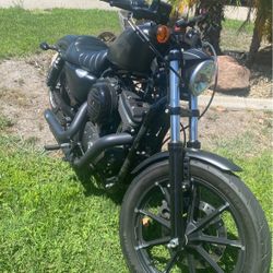 2017 Harley Davidson Sportster