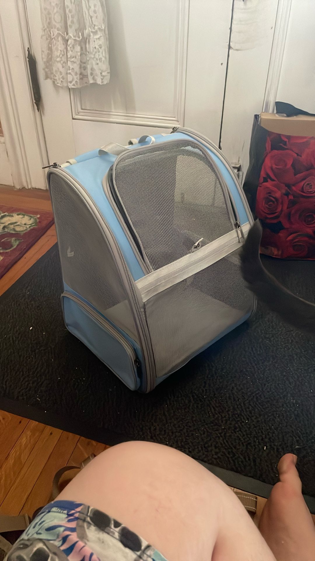 Unused Cat Backpack
