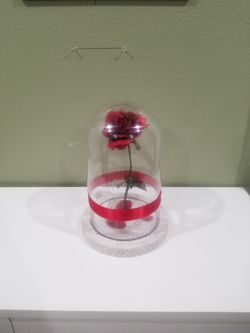 Eternity flower