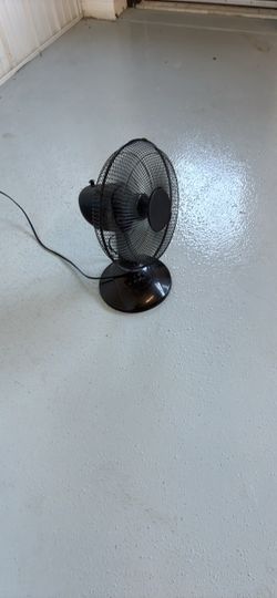Fan