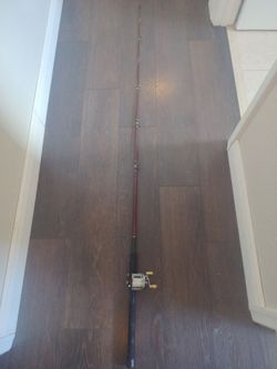 Fishing combo