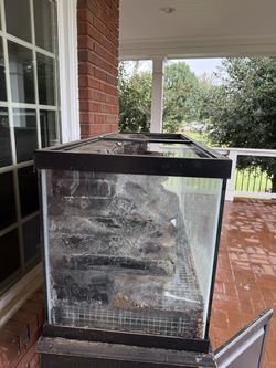 Custom ~75 Gallon Vivarium / Paludarium