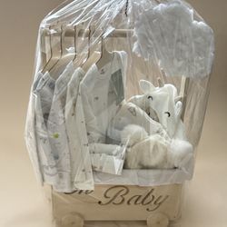 Baby Shower Gift Basket 