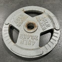 Single Plate 45lbs 
