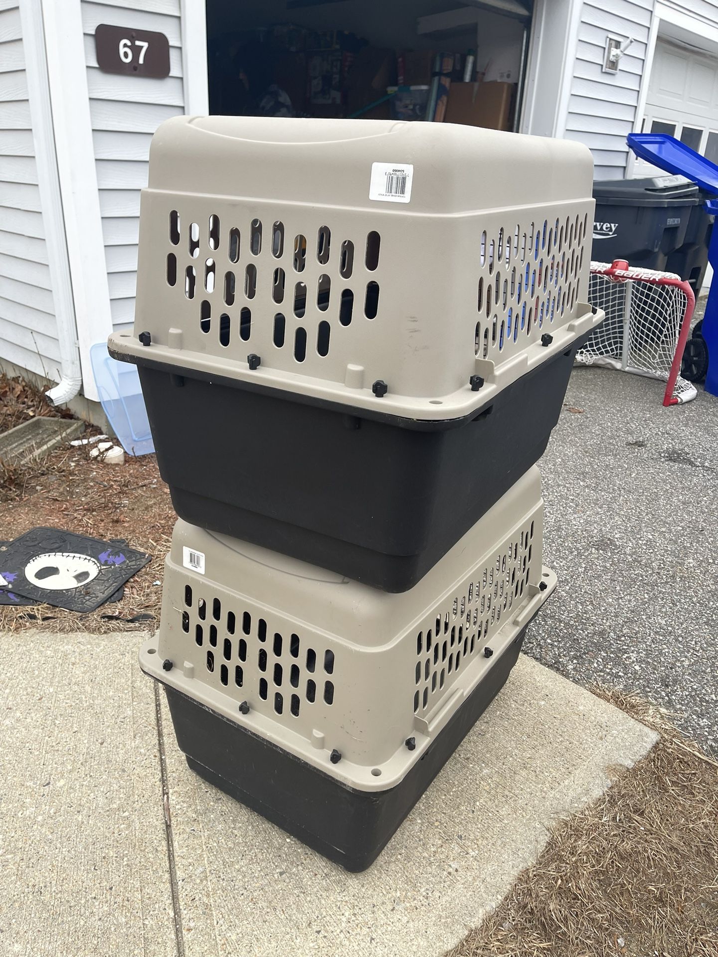 dog carrier