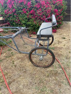 Horse Driving Cart