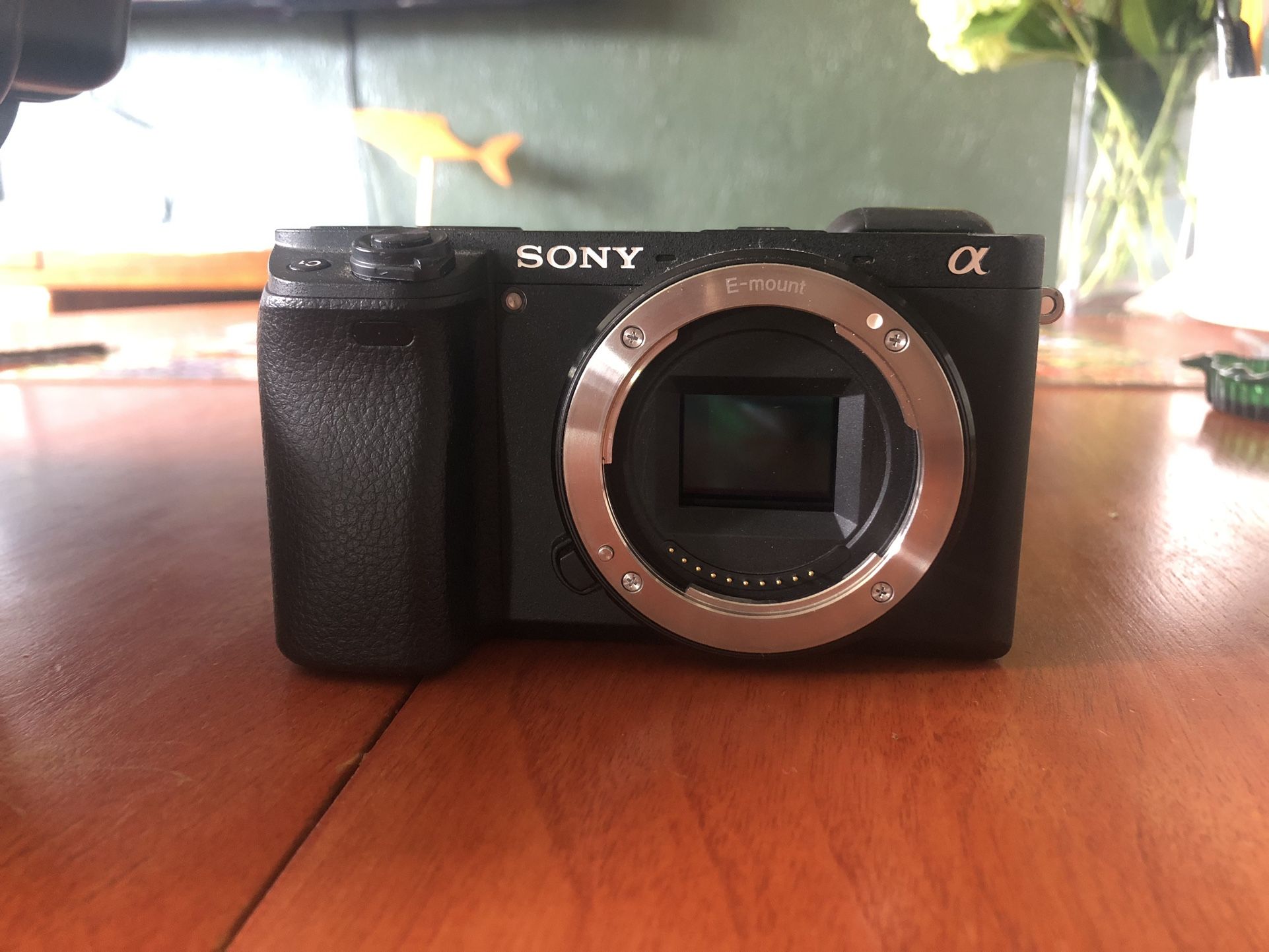 Sony a6300 - Excellent Condition
