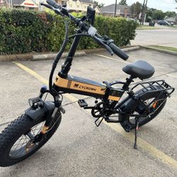 Electric Bike / E Bike 