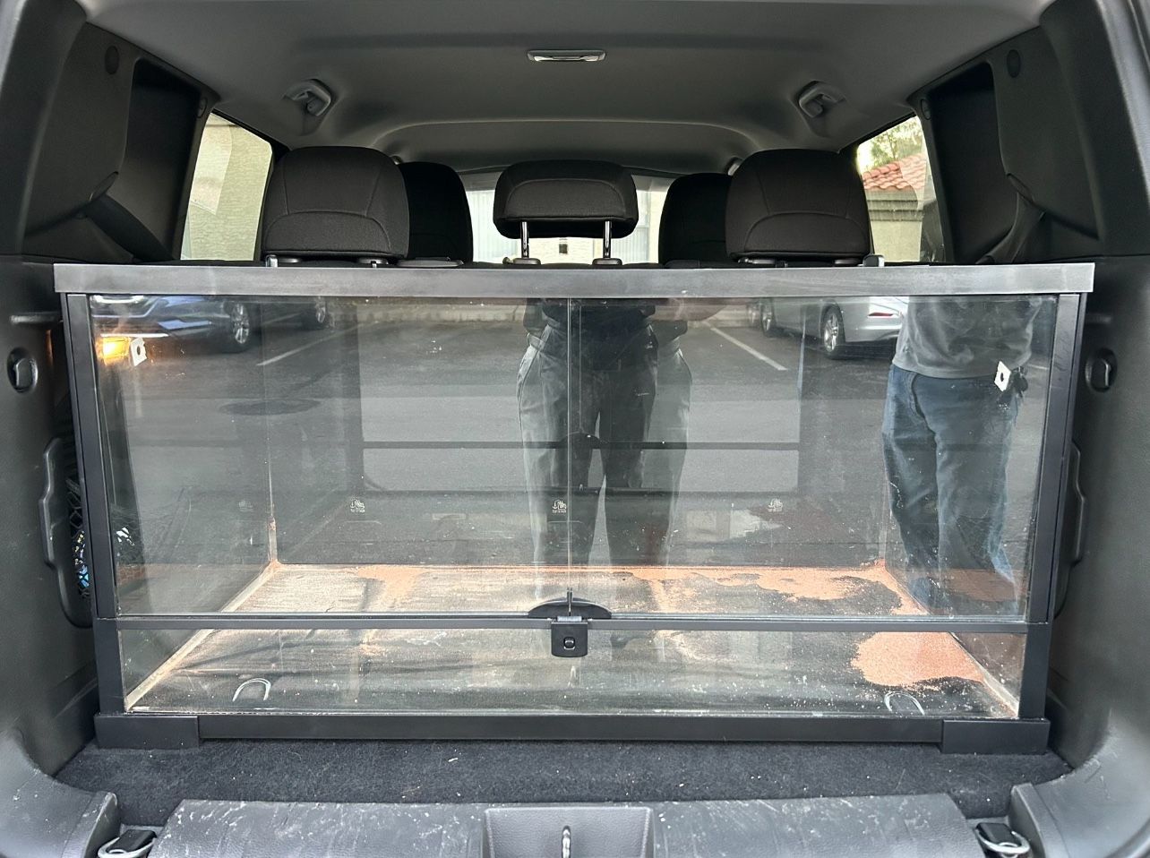 Large new reptile terrarium *PENDING*