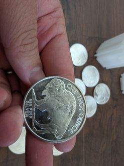 20 Silver Buffalo 1 oz Coin .999