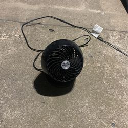 Fan
