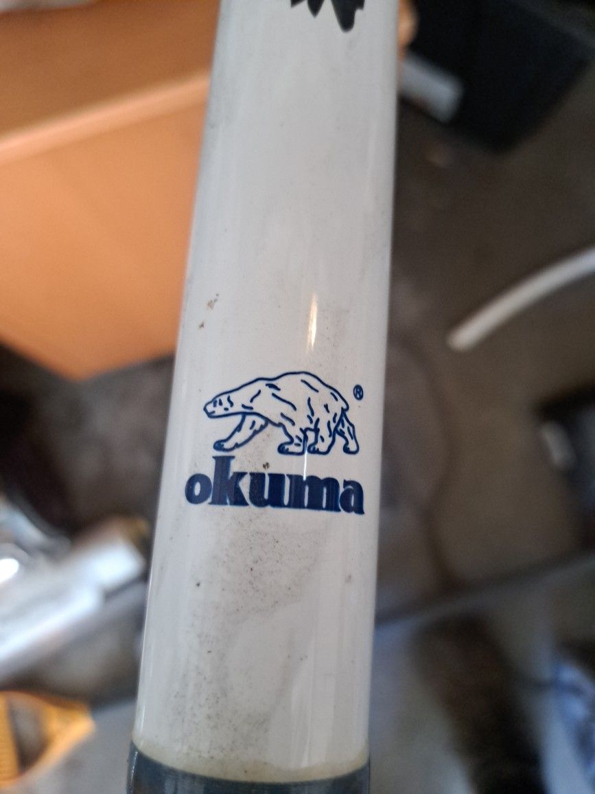 Beach/surf Fishing Pole By Okuma